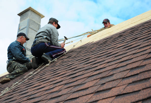 Professional Roofing Contractor in Shenandoah, PA