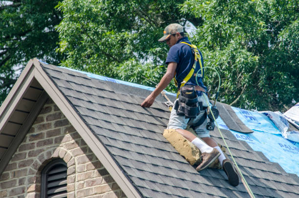 Best Commercial Roofing Services  in Shenandoah, PA